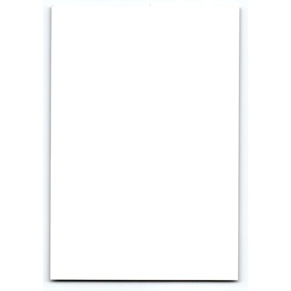 Gothic Girl with Skull & Red Roses Halloween Photochrome Postcard - Picture 2 of 2